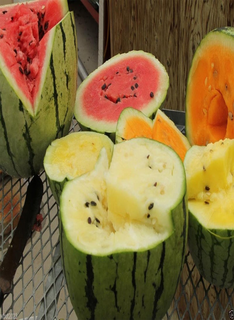 GGOOT Watermelon seeds - Mix ~ Red, Orange,Yellow Flesh,Non-GMO Heirloom Seeds - Image 1