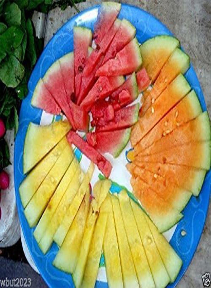 GGOOT Watermelon seeds - Mix ~ Red, Orange,Yellow Flesh,Non-GMO Heirloom Seeds - Image 2