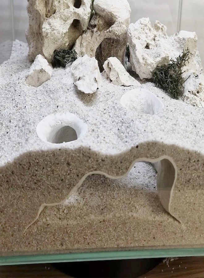LIYAOLI Aquarium Cave Decor - 3D Printed Corner Fish Tank Tunnel Hideout for Shrimp & Pleco | Corydora - Undergravel Viewing Decoration with Natural Curve - Safe for Betta, Loach & Small Fish (White) - Image 3