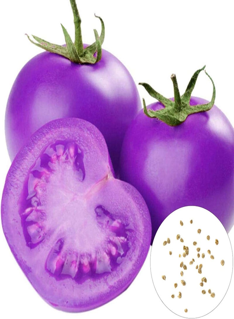 GGOOT Tomato Seeds Productive Non GMO Attractive Prolific Purple Tomato Seeds for Home - Image 5