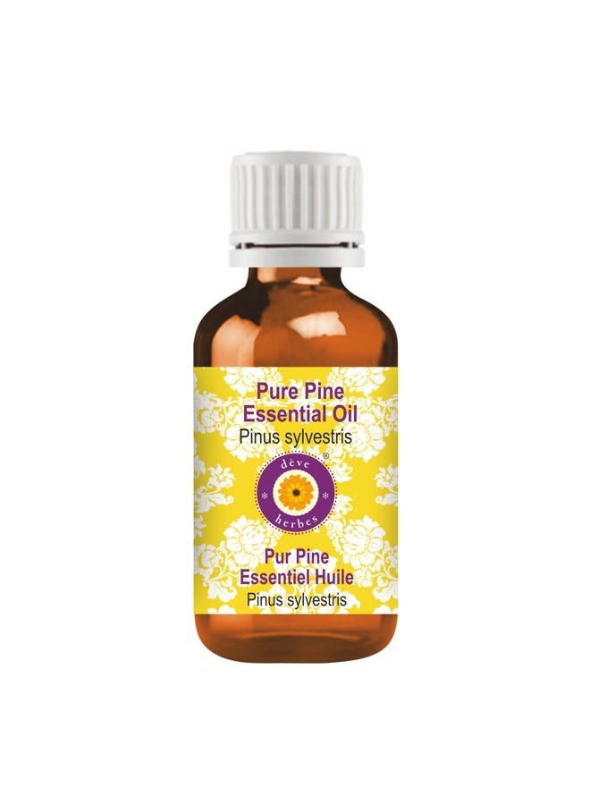Deve Herbes Pure Pine Essential Oil (Pinus sylvestris) 100% Therapeutic Grade Steam Distilled 15ml (0.50 oz) - Image 1
