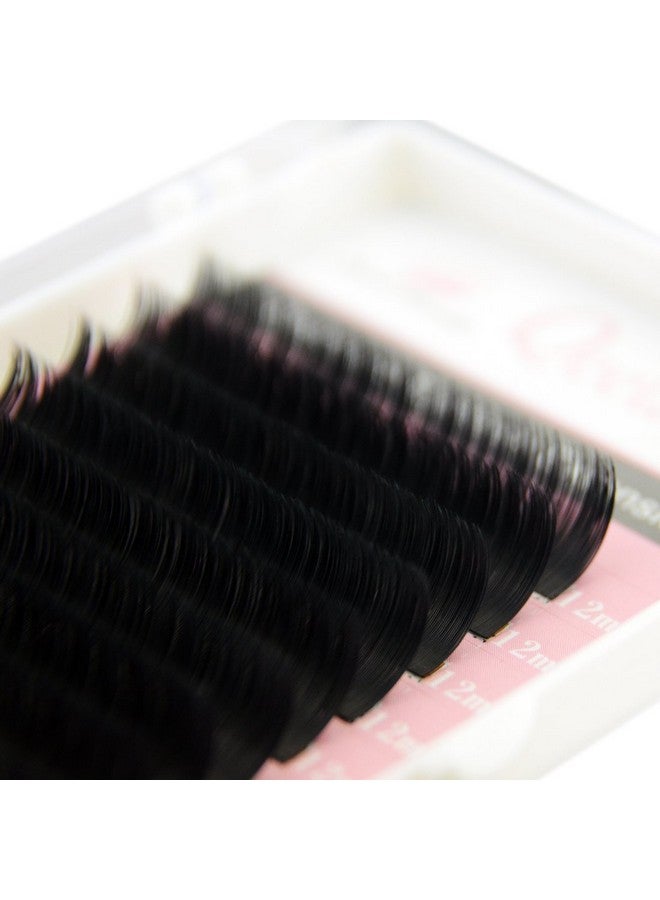 Qeelasee Matte Mink Flat Eyelash Extension 0.25 D Curl 12Mm Ellipse Eyelashes False Mink Individual Eyelash Extension Professional Salon Used By Qeelasee - Image 2