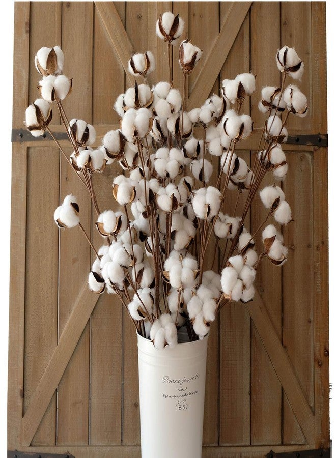 idyllic Cotton Stems Decor Branches, Cotton Flowers Plants for Decorations, Dried Flowers for Vase, 6 Pcs-31 Inches Tall - 12 Bolls per Stem - Image 1