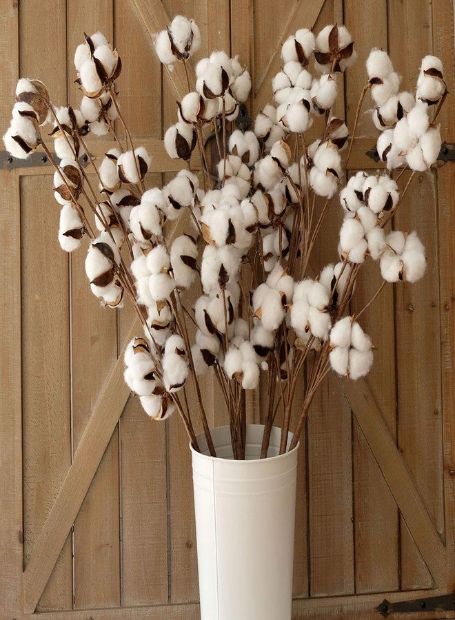 idyllic Cotton Stems Decor Branches, Cotton Flowers Plants for Decorations, Dried Flowers for Vase, 6 Pcs-31 Inches Tall - 12 Bolls per Stem - Image 2