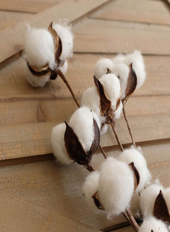 idyllic Cotton Stems Decor Branches, Cotton Flowers Plants for Decorations, Dried Flowers for Vase, 6 Pcs-31 Inches Tall - 12 Bolls per Stem - Image 5