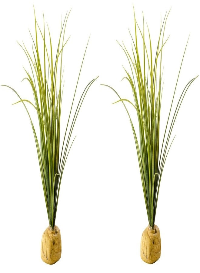 Exo Terra Turtle Grass Terrarium Plant (Turtle Grass - 2 Pack)