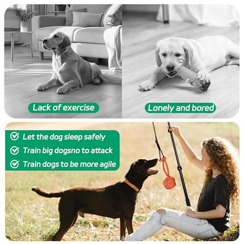 AmaCielo Flirt Pole for Dogs, Interactive Toys Tug-of-war for Pet, Durable Teaser Wand, Chase Toys with Rope Chewing Sticks, for Outdoor Exercise & Training - Image 5
