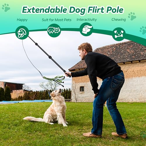 AmaCielo Flirt Pole for Dogs, Interactive Toys Tug-of-war for Pet, Durable Teaser Wand, Chase Toys with Rope Chewing Sticks, for Outdoor Exercise & Training - Image 4