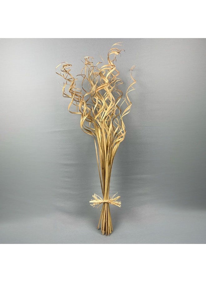 DANUBE HOME Danube Home Fleur Palm Curly Ting Ting Sticks - Natural Brown 60Cm Preserved Flower Decorations For Home Decor & Event Styling Timeless Floral Decor Collection Decorative Home Accessories 