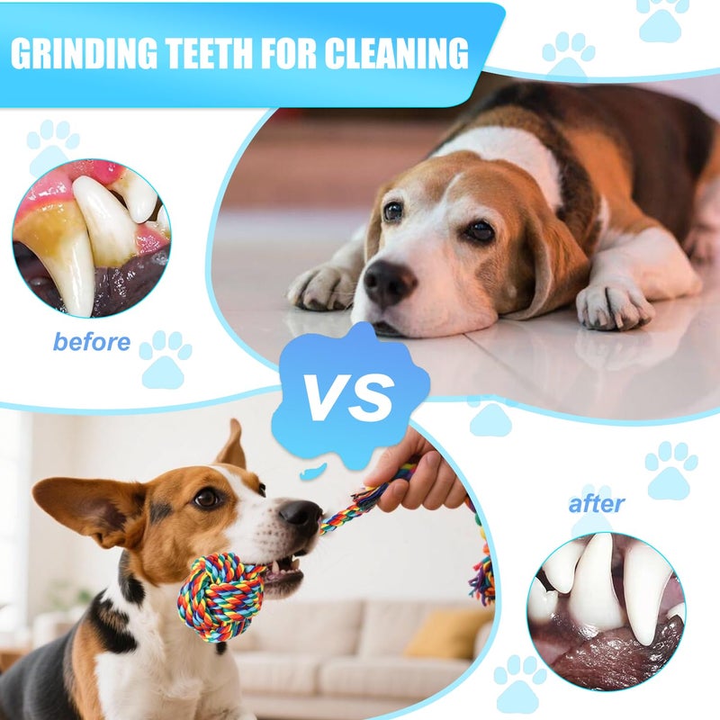 Celery Tough Dog Toys for Aggressive chewers - 4 Pack Durable Cotton Rope chew Toys for Large Dogs and Medium, Interactive tug of War, Teeth Cleaning, Puppy Training and Fetch Play - Image 4