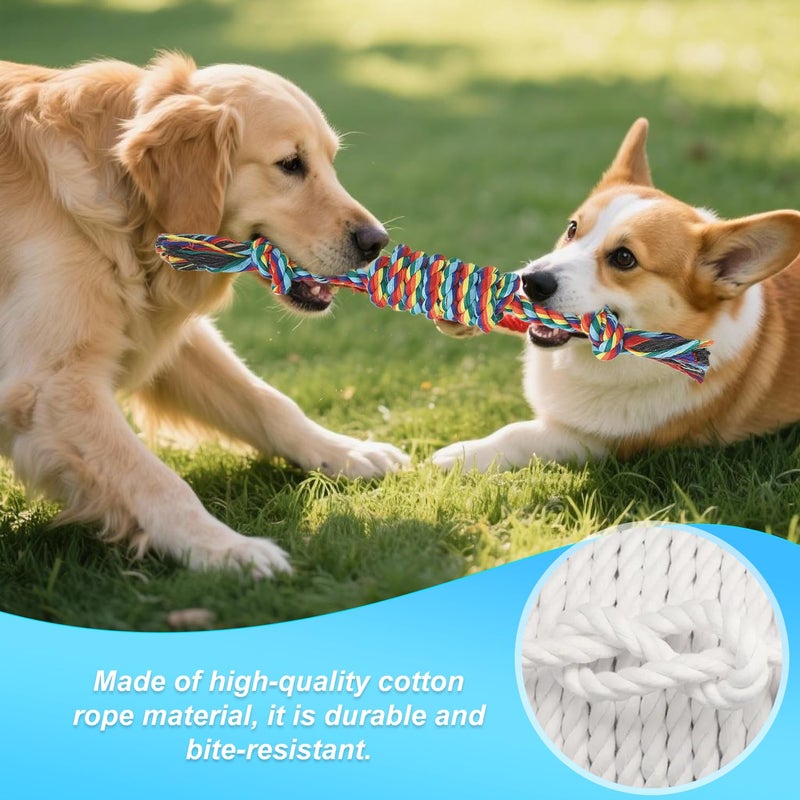 Celery Tough Dog Toys for Aggressive chewers - 4 Pack Durable Cotton Rope chew Toys for Large Dogs and Medium, Interactive tug of War, Teeth Cleaning, Puppy Training and Fetch Play - Image 5