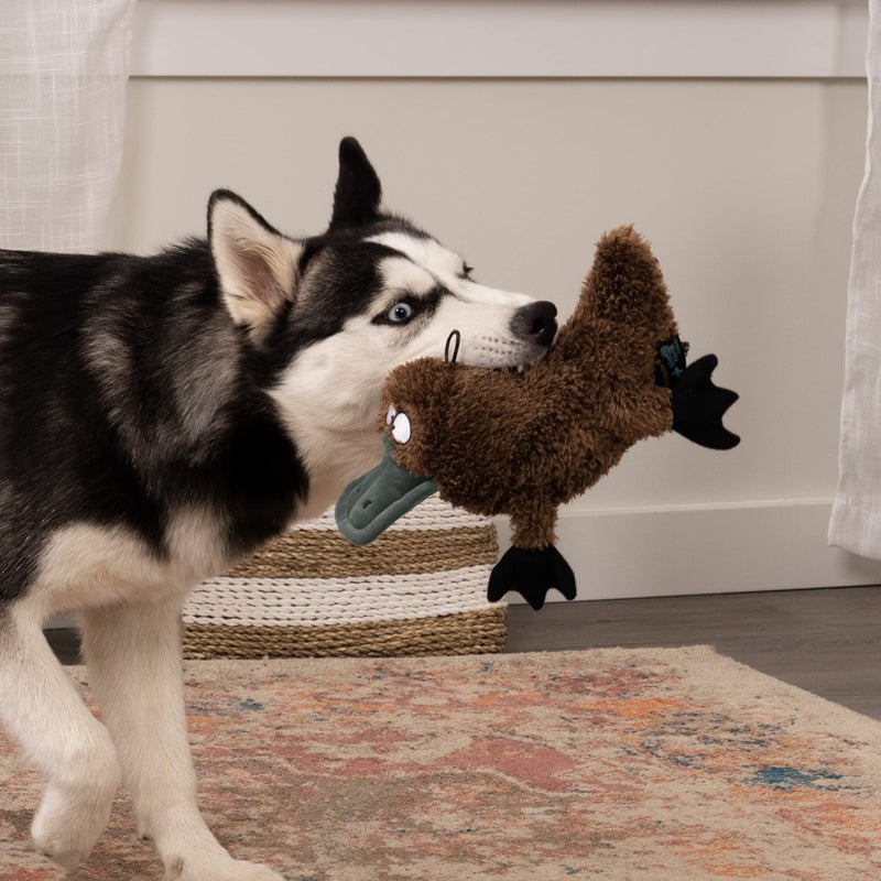 TrustyPup Strong 'N Silent Platypus Silent Squeak Plush Dog Toy, Chew Guard Technology - Brown, Large - Image 2