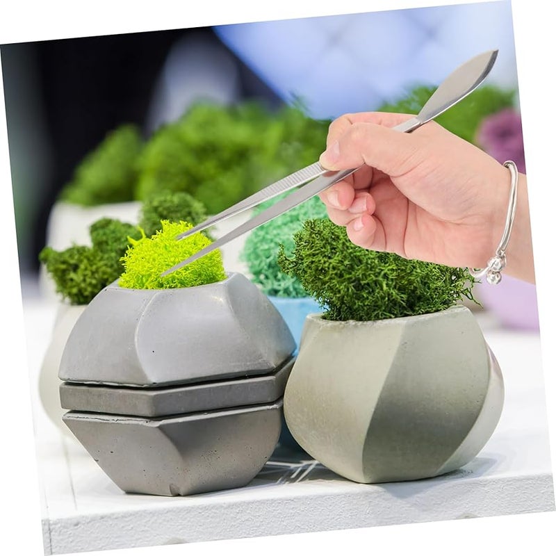 Stainless Steel Plant Tweezers Scraper Bonsai Tools For Moss Potted Superior Craftsmanship - Image 5