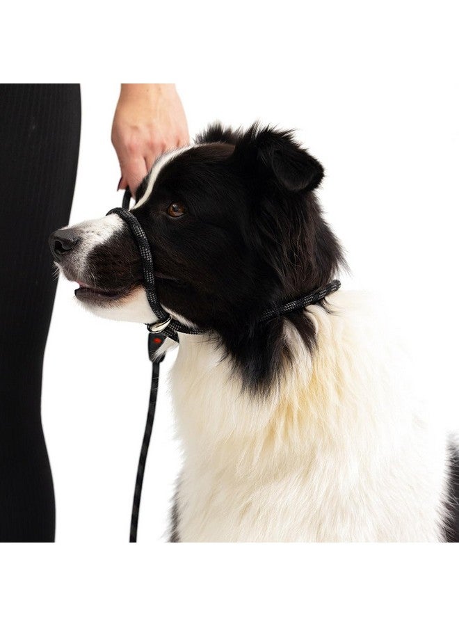 إيزي دوج سلسلة EzyDog Luca Slip Lead مزدوجة الوظائف عالية الجودة من الحبل المتين للكلاب التي تسحب سلسلة منزلق وسلسلة رأس لطيفة، للكلاب المتوسطة والكبيرة (5.5 قدم × 0.33 قدم، برتقالي) - Image 4