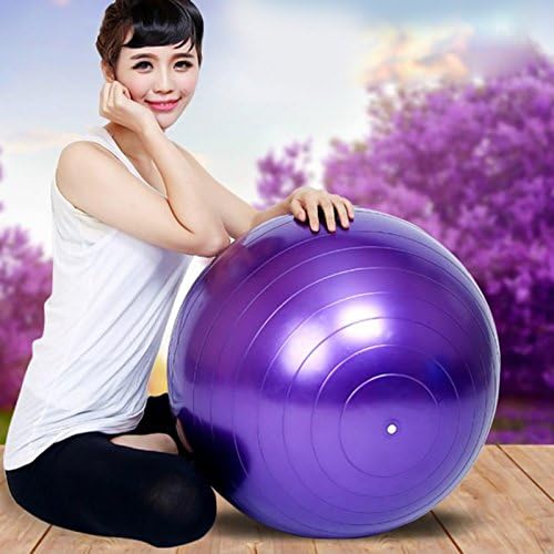 IRIS Fitness Gym Ball 65 CM (Purple) - Image 4