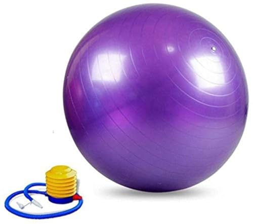 IRIS Fitness Gym Ball 65 CM (Purple) - Image 1