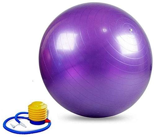 IRIS Fitness Gym Ball 65 CM (Purple) - Image 2