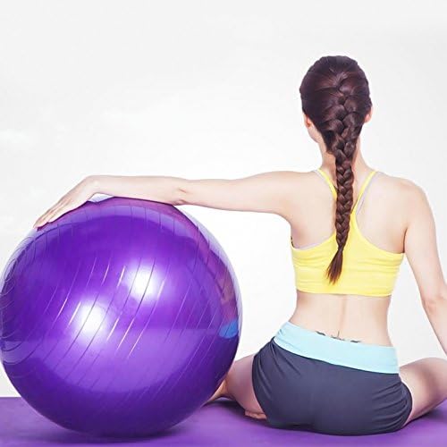 IRIS Fitness Gym Ball 65 CM (Purple) - Image 5