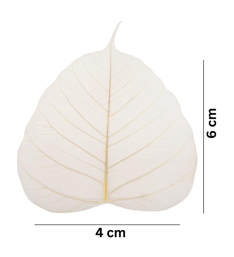 JOYNAGAR Handmade Natural Peepal Leaf Skeleton | 100 Pcs Pack | 3-4 Inch Size |Eco-Friendly Home Decor | Unique Wall Art | Sustainable Crafts | Indian Traditional Artwork (Mix Random Color) - Image 4