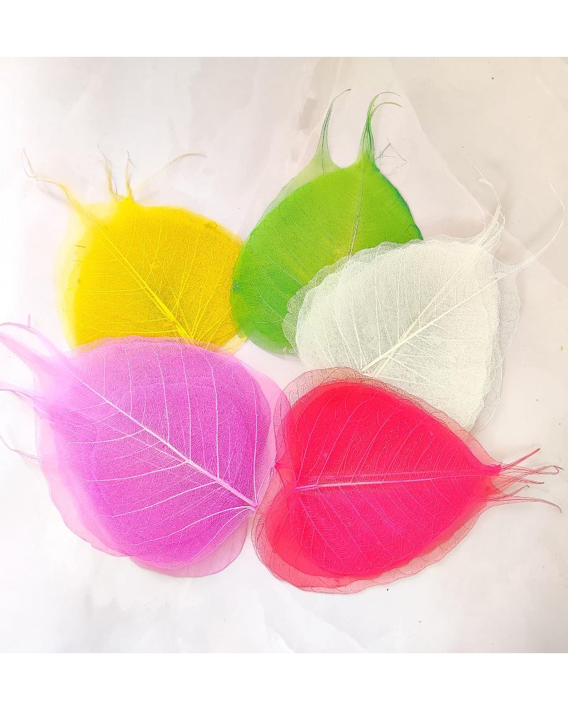 JOYNAGAR Handmade Natural Peepal Leaf Skeleton | 100 Pcs Pack | 3-4 Inch Size |Eco-Friendly Home Decor | Unique Wall Art | Sustainable Crafts | Indian Traditional Artwork (Mix Random Color) - Image 1