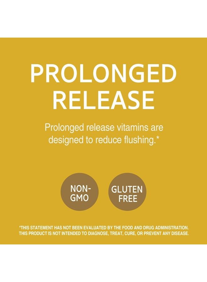 21st Century أقراص نياسين 500 ملغ للإفراز المطول، 100 حبة (27474) - Image 4