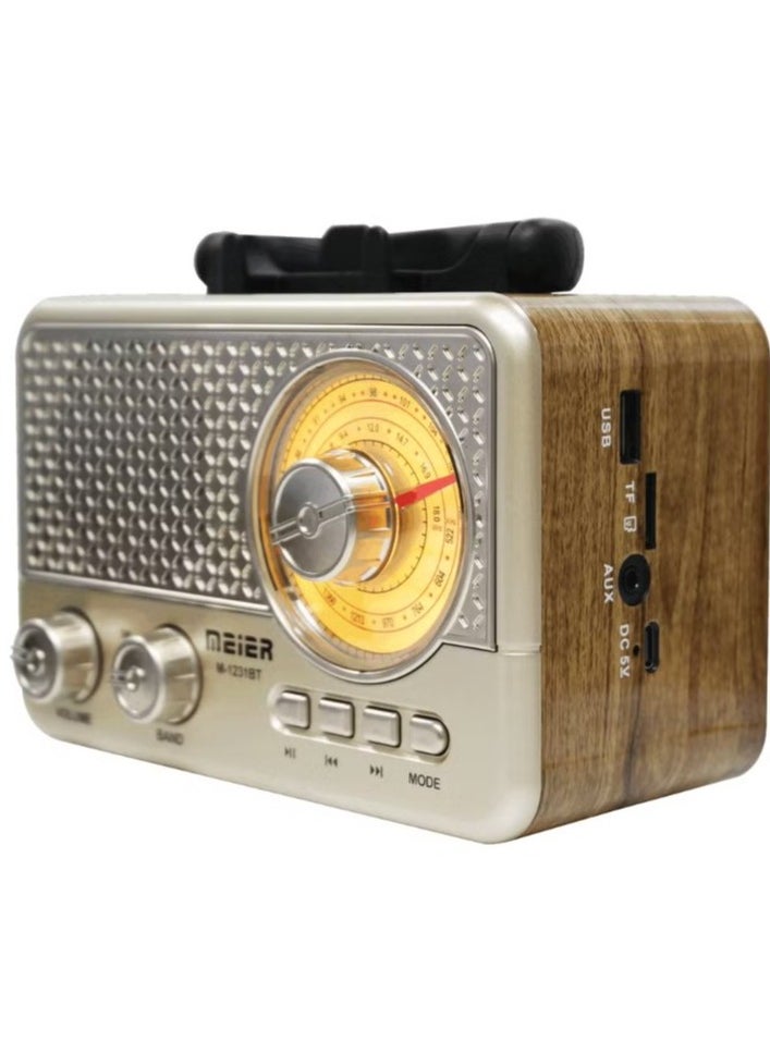 Meier - Rechargeable Radio with Wireless Connection/MP3-PT Player /USB/TF Card/AUX(M-1231BT (Golden)) - Image 1