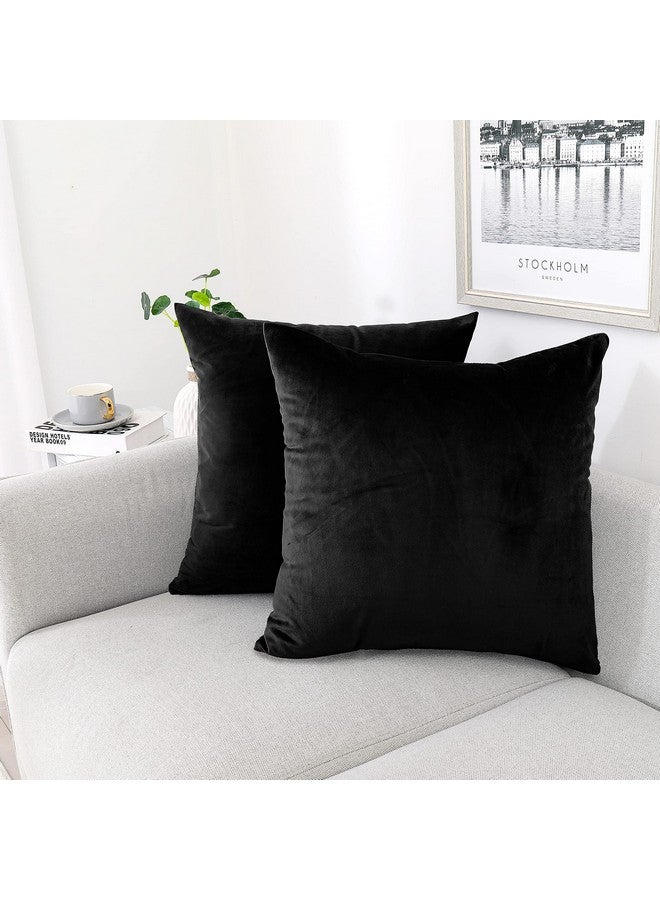 NiNi ALL NiNi ALL Decorative Throw Pillow Covers Pack of 2 Velvet Throw Pillow Cases for Couch Pillows Cover Bedroom Living Room Outdoor, Pillow Covers 20x20 Inch Black  - Image 1