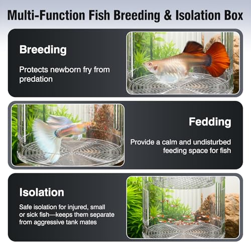 FKSC Floating Acrylic Breeder Box for Fish Tank - Aquarium Isolation Separator Hatchery Incubator for Guppy, Betta, Clownfish, Coral, Baby & Injured Fish - Image 2