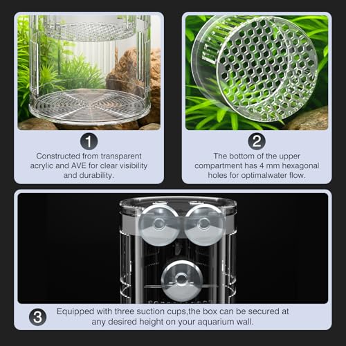 FKSC Floating Acrylic Breeder Box for Fish Tank - Aquarium Isolation Separator Hatchery Incubator for Guppy, Betta, Clownfish, Coral, Baby & Injured Fish - Image 5