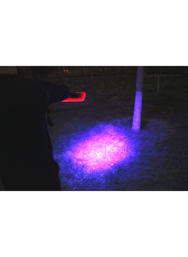 Generic - Scorpion Lamp Breeding Special Purple Light Flashlight Scorpion With Bean Worm Strong Light Charging Portable 3000 Meters Lighting-Product Specifications:5 Rows Of 100 Lamp Beads White + Purple Light With Tweezers For 30 Hours - Image 1