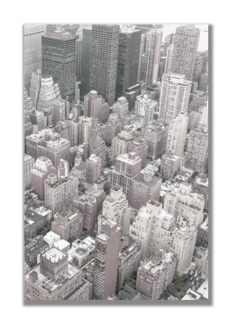 درو ديك NYC