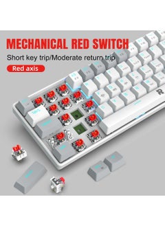 Rock Pow ROCK POW 60% Wired Mechanical Gaming Keyboard 63 keys Ice Blue Backlit Ultra-Compact Mini Keyboard Mini Compact Keyboard for PC/Mac Gamer Typist Easy Carry on Trip Red Switch  - Image 3