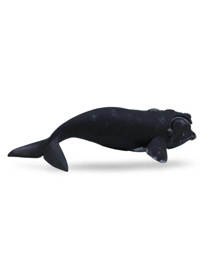 CollectA Right Whale Figurine - Image 3