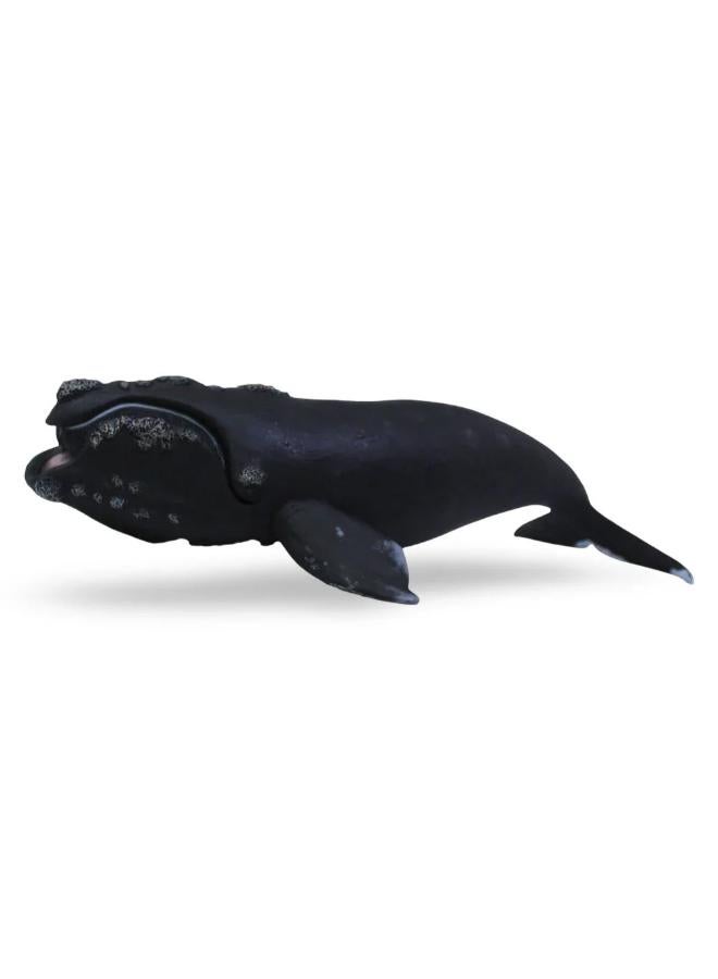 CollectA Right Whale Figurine - Image 1