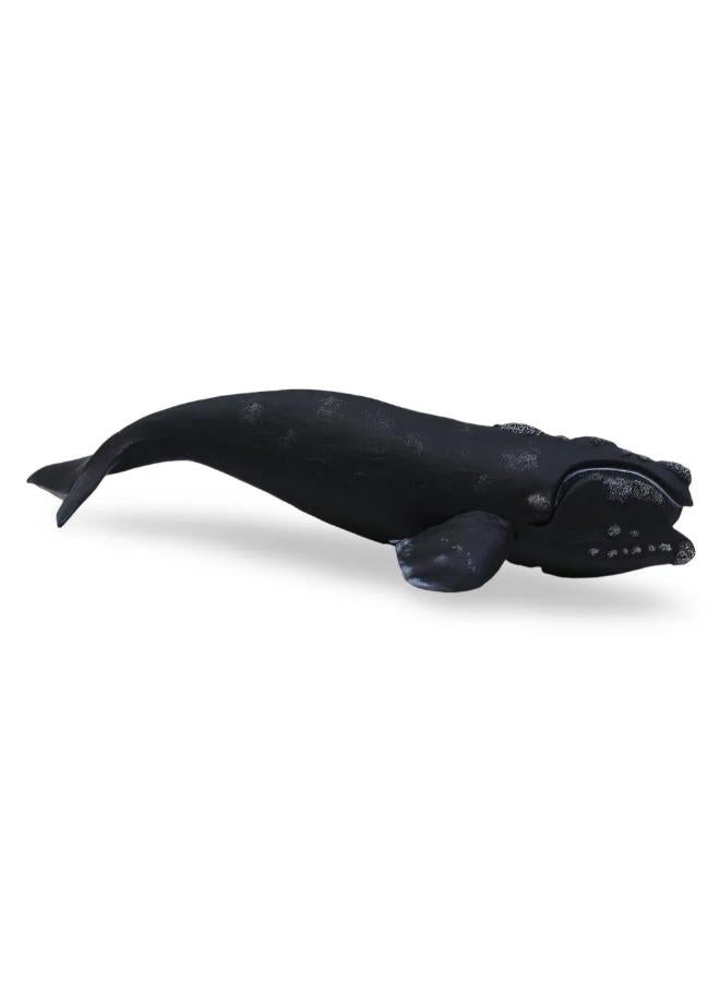 CollectA Right Whale Figurine - Image 2