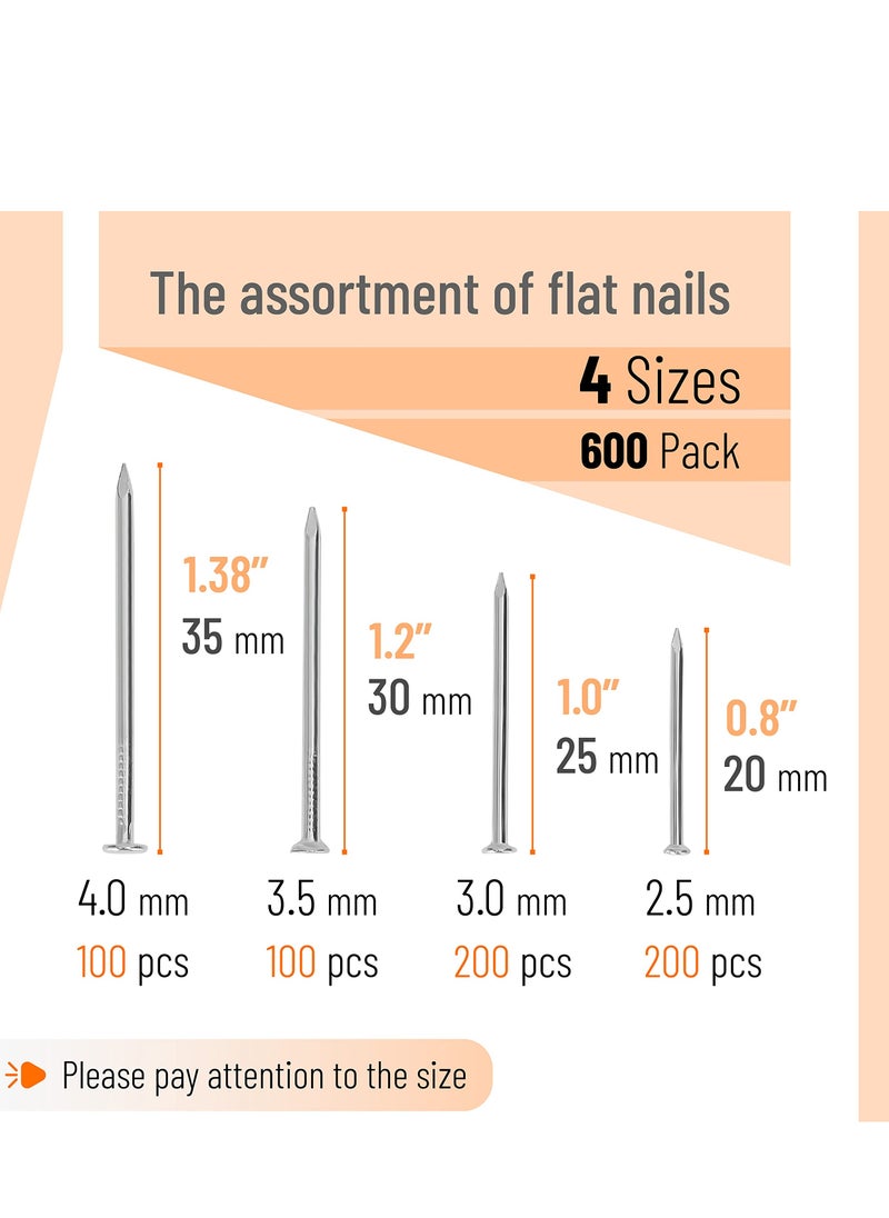 spa luxetique Nail Assortment Kit, 200Pcs, 4 Sizes, Silver, Small Nails for Hanging Pictures, Finishing Nails, Gold Wall Nails for Hanging, Pin Nails, Hardware Nails, Assorted Nails, Galvanized Nails  - Image 2