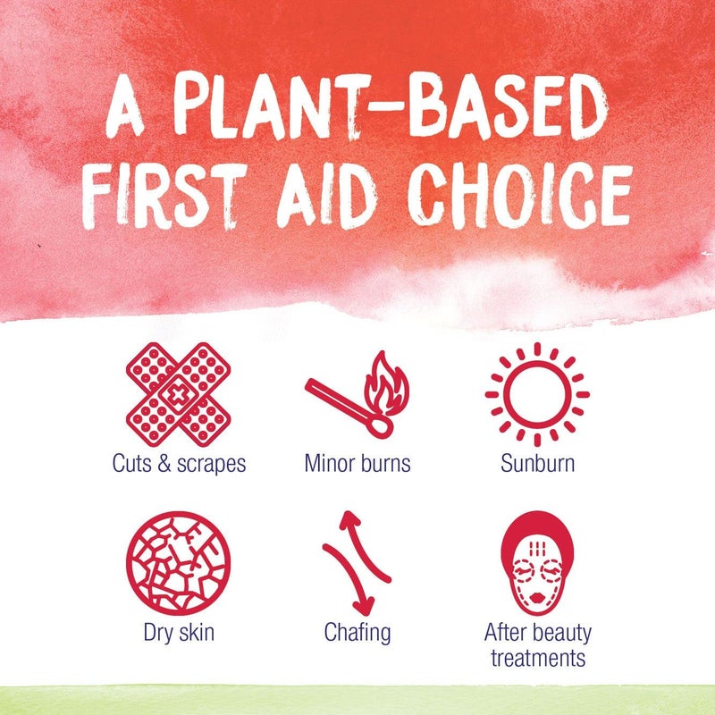 Boiron Calendula Cream for Relief from Rashes, Skin Irritations, Razor Burn, Insect Bites, or Sunburns - Non-Greasy and Fragrance-Free - 2.5 oz - Image 2