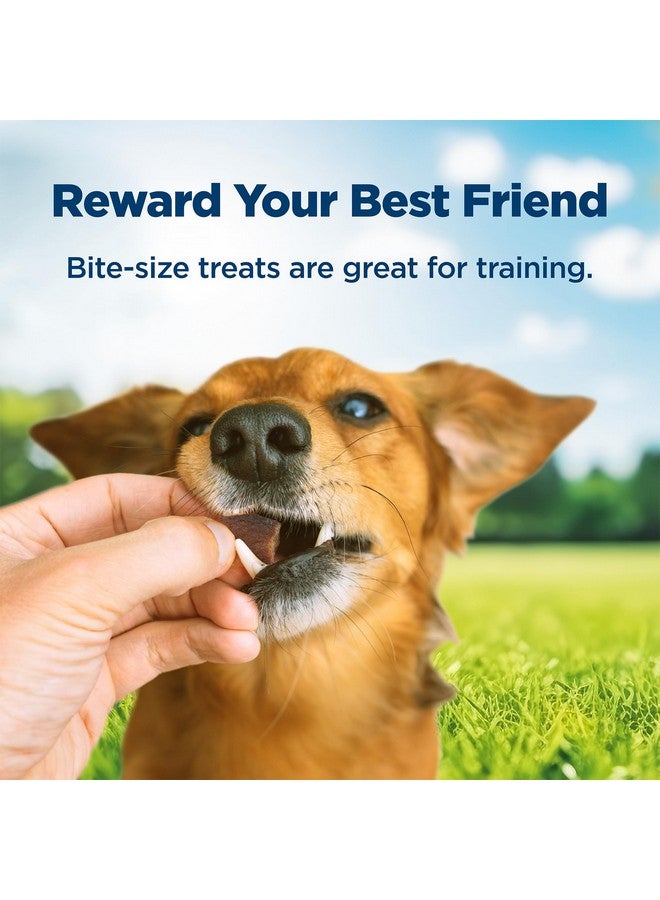 Nudges BiteSize Chewy Dog Treats With Real Usa Beef, Made With Natural Ingredients, Great For OnTheGo, 5.5Oz. Container