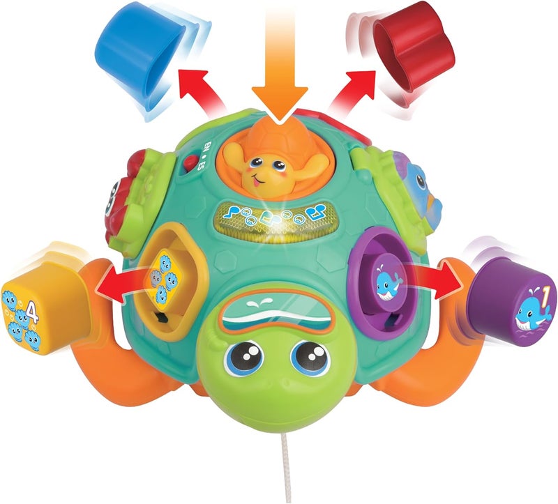 Winfun Pull Along Sort 'N Learn Turtle Interactive Toy - Image 1