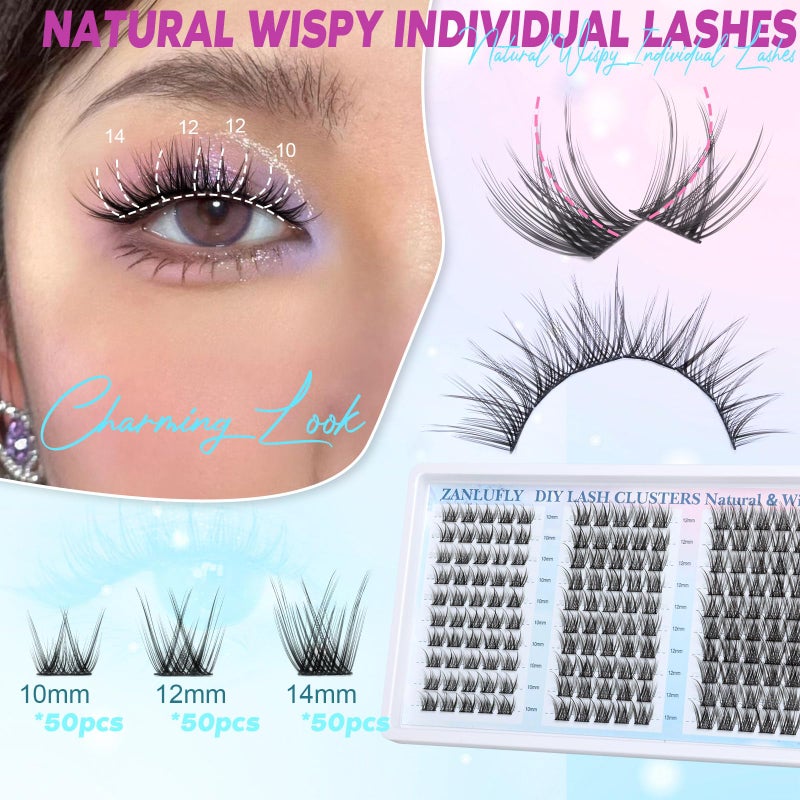 zanlufly Lash Clusters Wispy Eyelash Clusters Natural C-Curly Cluster Lashes zanlufly Wispy Individual Lashes 150Pcs Eyelash Extension 10 12 14MM DIY Lash Extensional Lash Clusters - Image 2