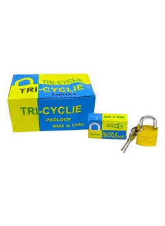 Generic Crafted To Last The Legacy Of Tri-Cycle Golden Padlocks 