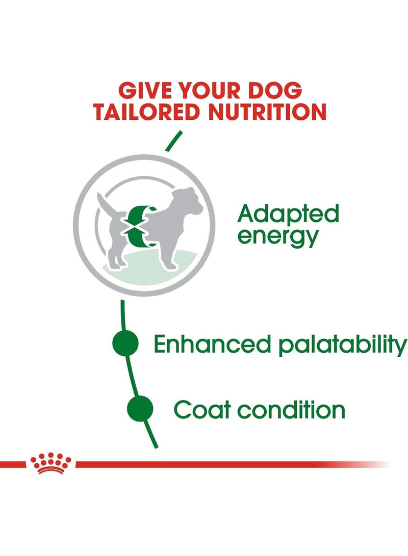 رويال كانين طعام جاف للكلاب الصغيرة من رويال كانين - 4 كجم - Image 5