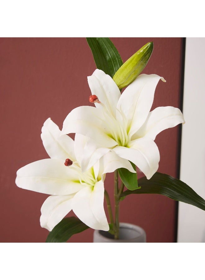 Home Box Lida Lily Flower Bunch  - Image 3
