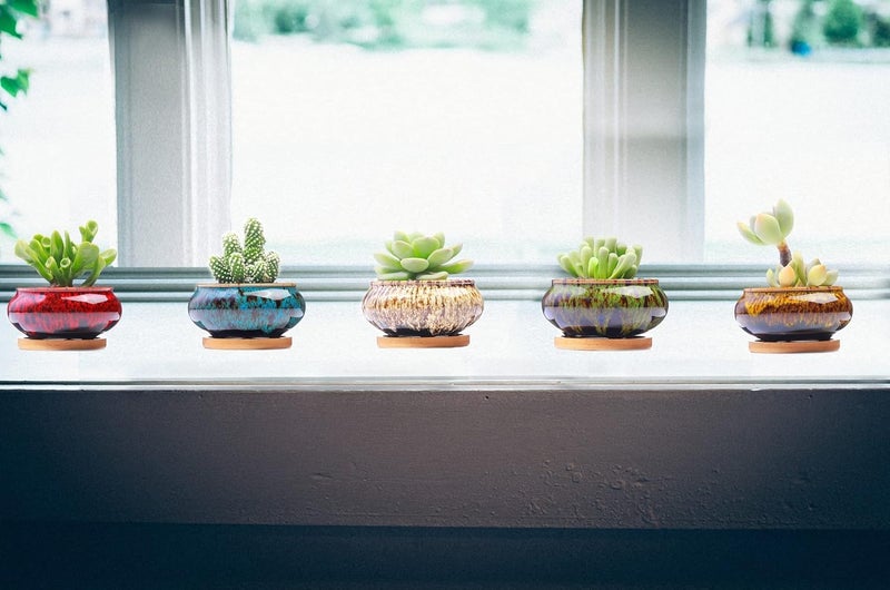 LamDawn Cute Ceramic Succulent Garden Pots, Planter with Drainage and Attached Saucer, Set of 5 -Plants Not Included (Burner) - Image 4
