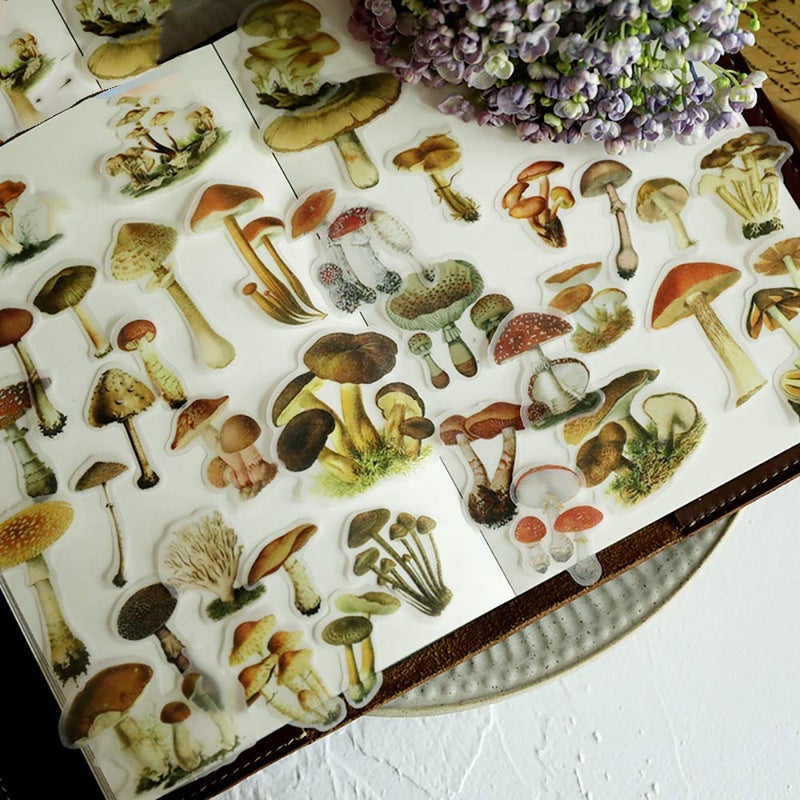Doraking Mushroom Stickers  100PCS Waterproof Paper Decals for Scrapbook Decoration Sulfuric Adhesive Irregular Shape All in One Variety Pack