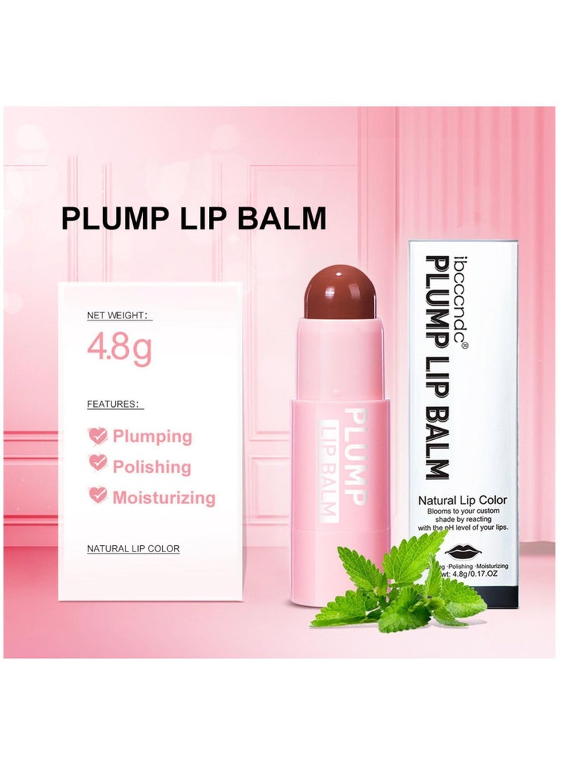 ibcccndc Plump Lip Balm Moisturizing Lip Plumper Fuller Lip Maximizer Makeup Lipsticks Tinted Lip Balm Lip Gloss Reduce Fine Lines Long-Lasting Volumizing Lipstick 02  - Image 3