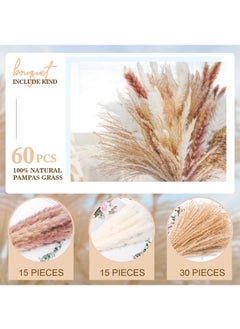 Generic 60 Pcs Dried Pampas Grass Dried Flowers Of Small Reeds Boho Natural Flowers Arrangements White Reed Bunny Tails for Home Decor Flower Living Room Balcony Wedding Party 