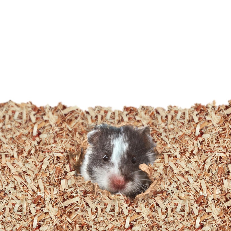 Kaytee Aspen Small Animal Pet Bedding For Pet Guinea Pigs, Rabbits, Hamsters, Gerbils, and Chinchillas, 52.4 Liters - Image 4