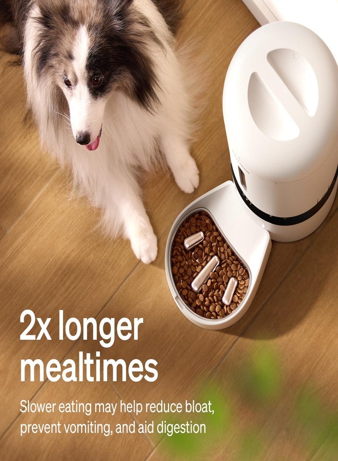 PETLIBRO Slow Feeder Bowl for Small Dogs & Cats, 1.125 Cup- Anti-Gulp Stainless Steel Dog & Cat Bowl, Helps Reduce Risk of Bloat, Dishwasher Safe - Compatible with PETLIBRO Camera Automatic Feeder - Image 3