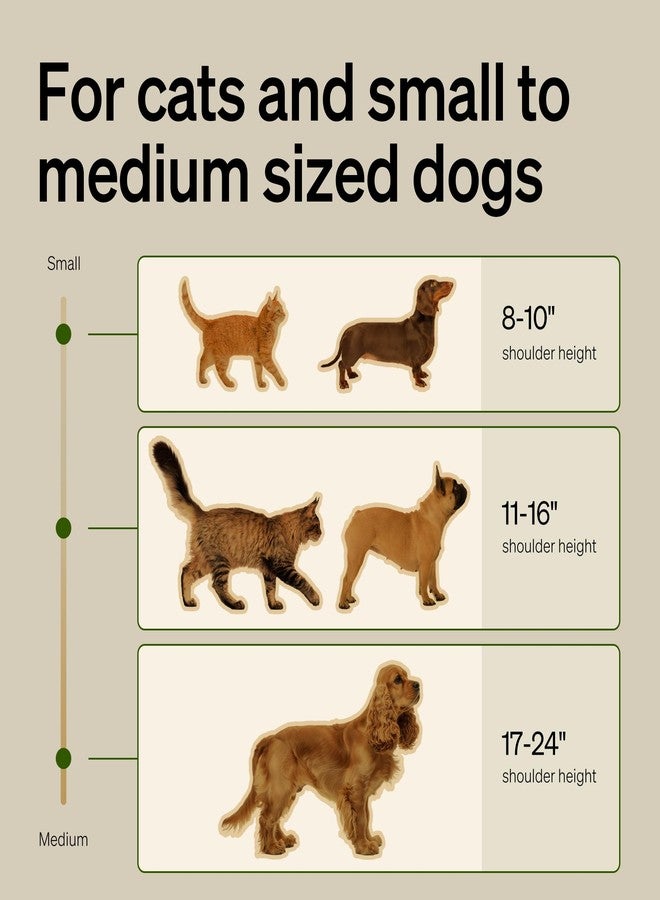 PETLIBRO Slow Feeder Bowl for Small Dogs & Cats, 1.125 Cup- Anti-Gulp Stainless Steel Dog & Cat Bowl, Helps Reduce Risk of Bloat, Dishwasher Safe - Compatible with PETLIBRO Camera Automatic Feeder - Image 4